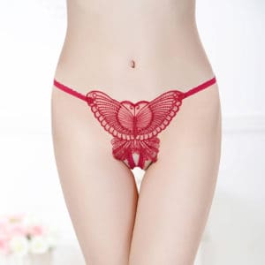 Women Sexy Lace Butterfly Panties For Her | buy Adult toys Online at 18Plus World Malaysia