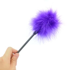 Adult Sex Feather Tease Tickler For Fun | buy Adult toys Online at 18Plus World Malaysia