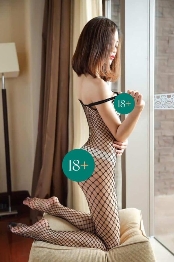 Net Transparent Sexy Wear For Her | buy Adult toys Online at 18Plus World Malaysia