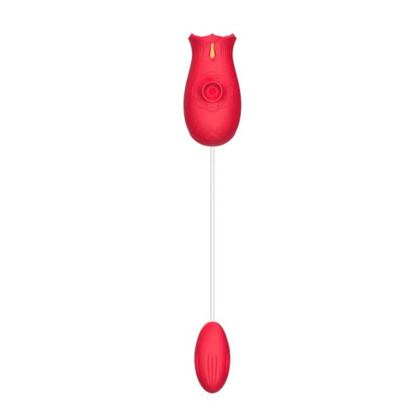 ROSE Lick & Suck Vibrating Egg Egg Vibrator | buy Adult toys Online at 18Plus World Malaysia