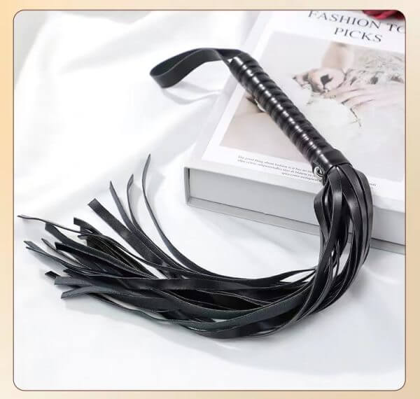 QUAIGE SM Pleasure Lover Whip BDSM | buy Adult toys Online at 18Plus World Malaysia
